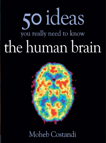 50 Human Brain Ideas You Really Need to Know